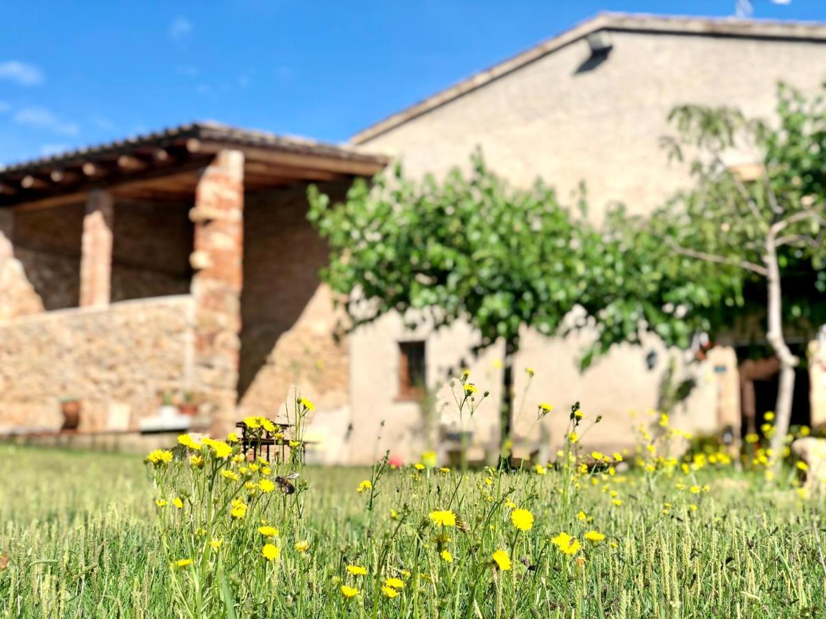 Casa Rural Can Miquel - En Pleno Bosque Y Cerca De La Playa - Increibles Rutas Btt Santa Coloma De Farners Εξωτερικό φωτογραφία