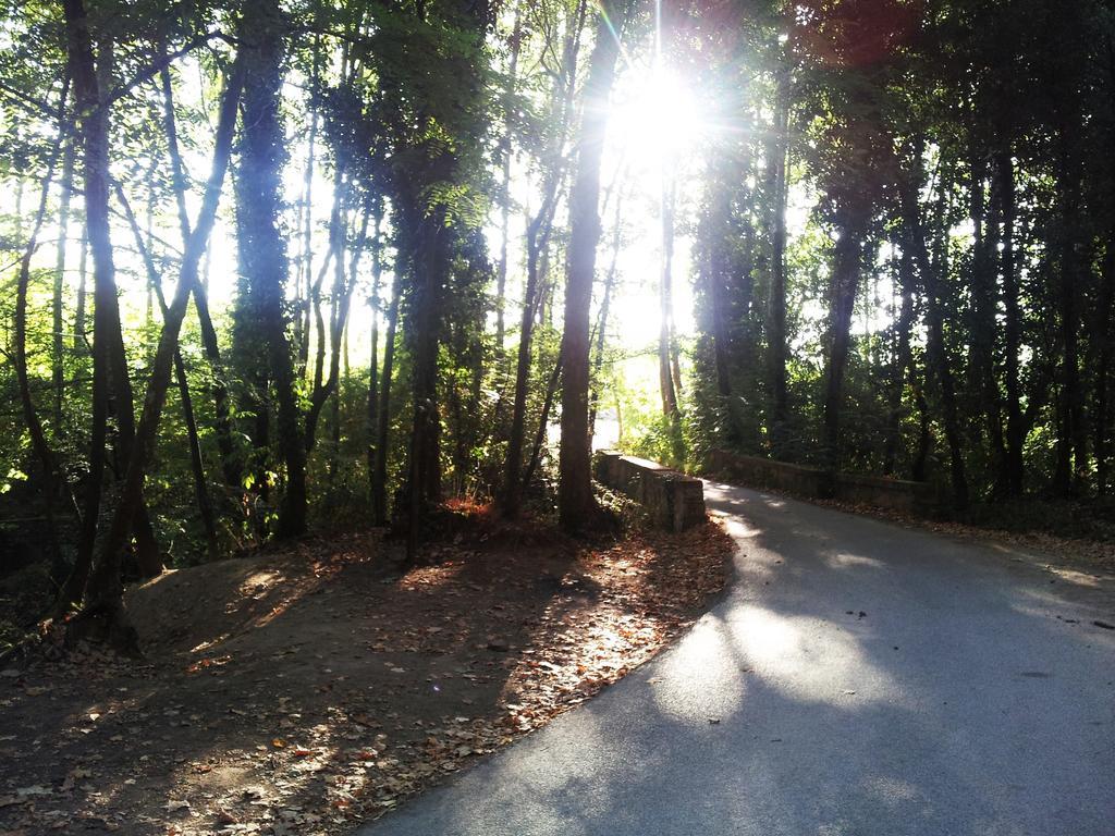 Casa Rural Can Miquel - En Pleno Bosque Y Cerca De La Playa - Increibles Rutas Btt Santa Coloma De Farners Εξωτερικό φωτογραφία
