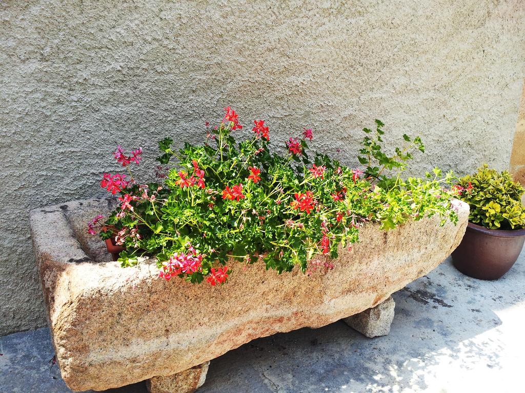 Casa Rural Can Miquel - En Pleno Bosque Y Cerca De La Playa - Increibles Rutas Btt Santa Coloma De Farners Εξωτερικό φωτογραφία