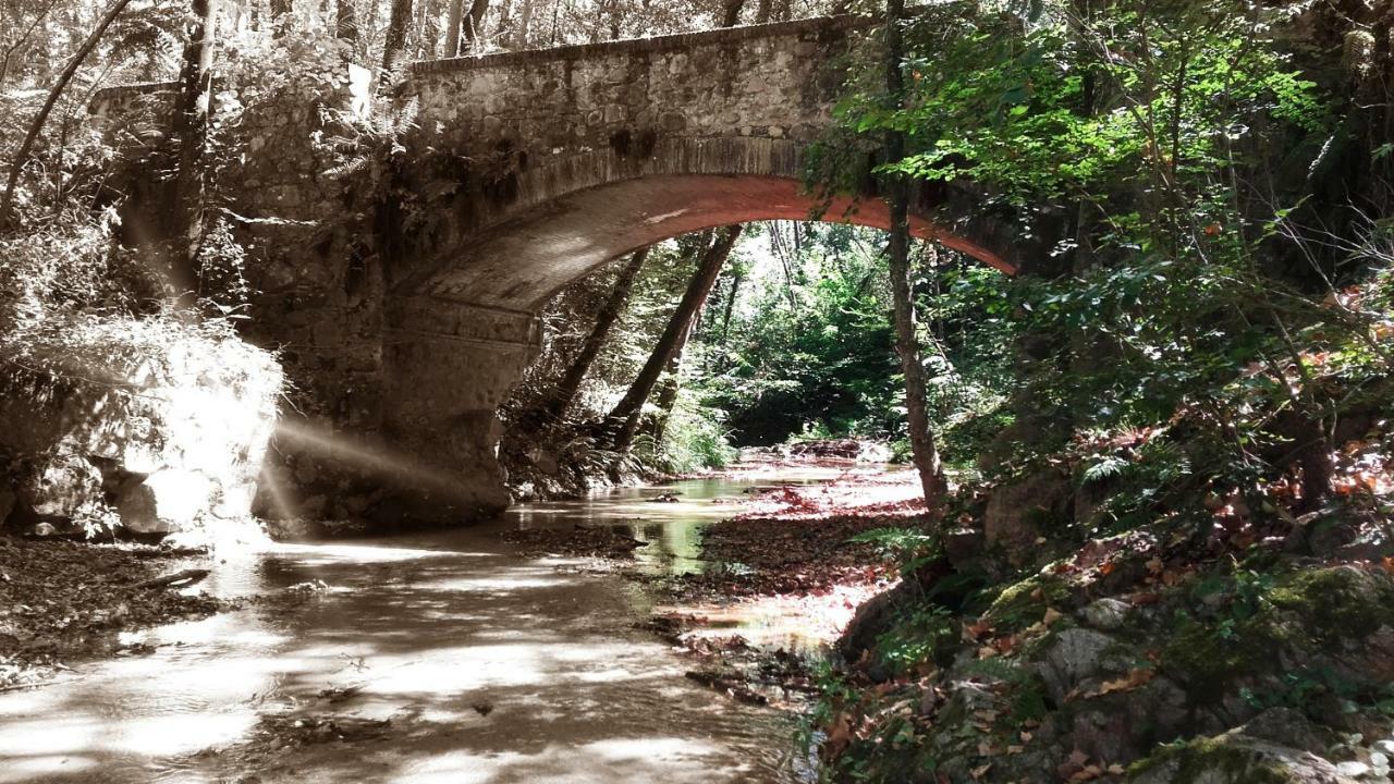 Casa Rural Can Miquel - En Pleno Bosque Y Cerca De La Playa - Increibles Rutas Btt Santa Coloma De Farners Εξωτερικό φωτογραφία