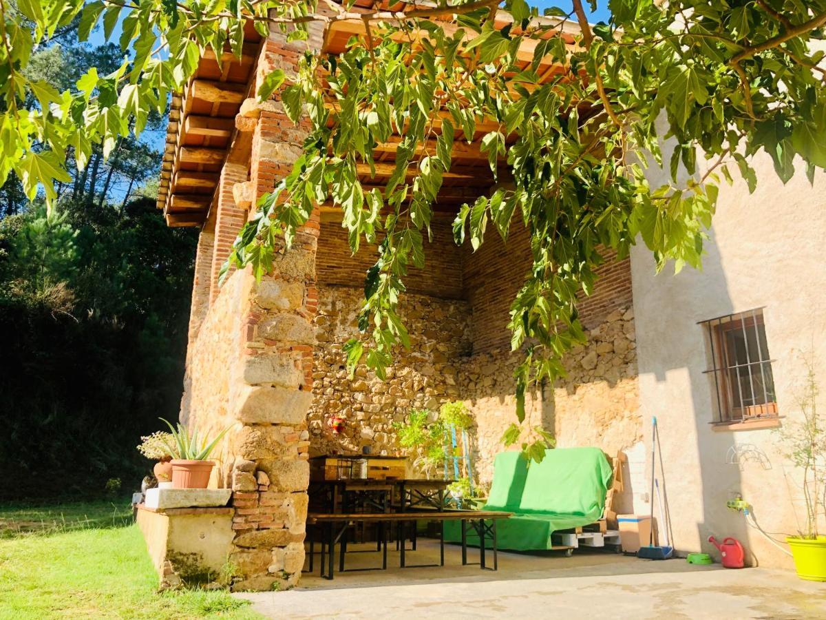 Casa Rural Can Miquel - En Pleno Bosque Y Cerca De La Playa - Increibles Rutas Btt Santa Coloma De Farners Εξωτερικό φωτογραφία