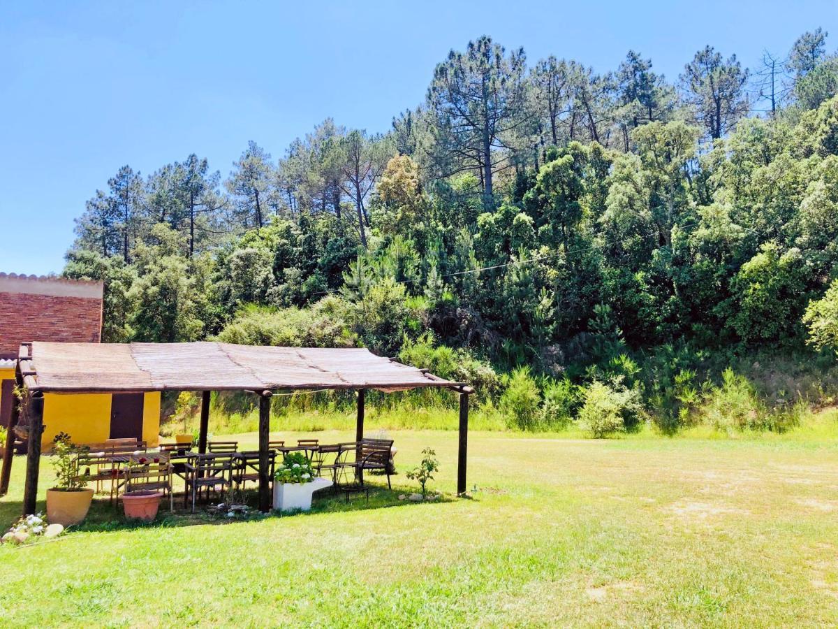 Casa Rural Can Miquel - En Pleno Bosque Y Cerca De La Playa - Increibles Rutas Btt Santa Coloma De Farners Εξωτερικό φωτογραφία