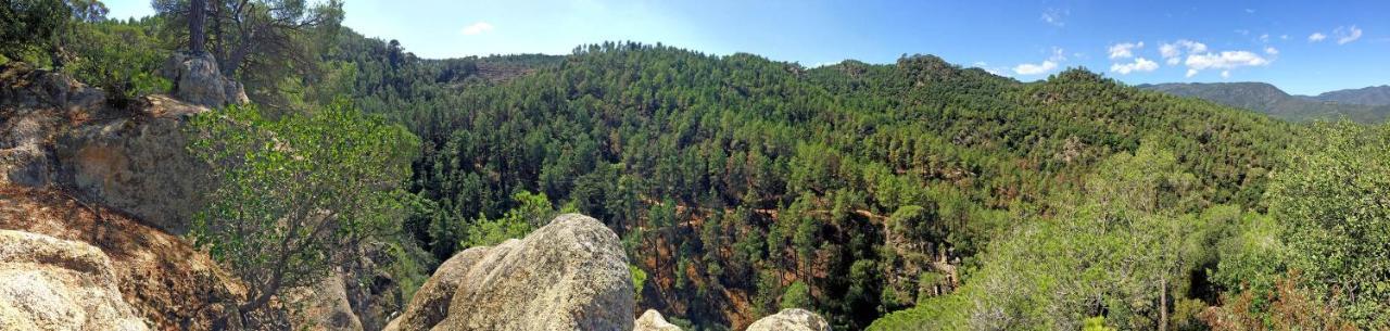 Casa Rural Can Miquel - En Pleno Bosque Y Cerca De La Playa - Increibles Rutas Btt Santa Coloma De Farners Εξωτερικό φωτογραφία