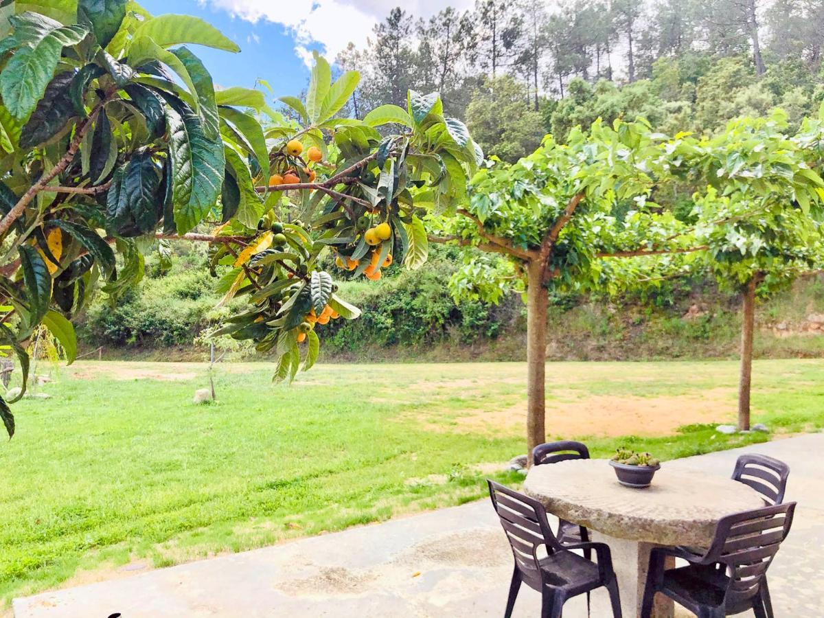 Casa Rural Can Miquel - En Pleno Bosque Y Cerca De La Playa - Increibles Rutas Btt Santa Coloma De Farners Εξωτερικό φωτογραφία