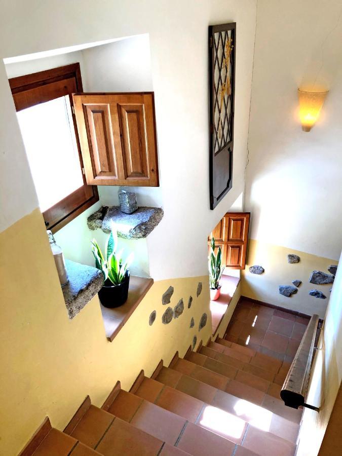 Casa Rural Can Miquel - En Pleno Bosque Y Cerca De La Playa - Increibles Rutas Btt Santa Coloma De Farners Εξωτερικό φωτογραφία