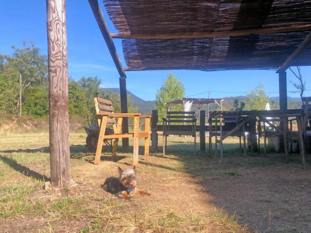 Casa Rural Can Miquel - En Pleno Bosque Y Cerca De La Playa - Increibles Rutas Btt Santa Coloma De Farners Εξωτερικό φωτογραφία