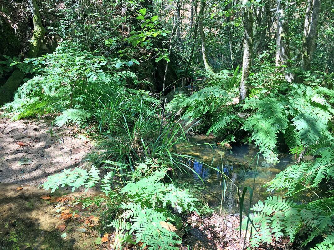 Casa Rural Can Miquel - En Pleno Bosque Y Cerca De La Playa - Increibles Rutas Btt Santa Coloma De Farners Εξωτερικό φωτογραφία