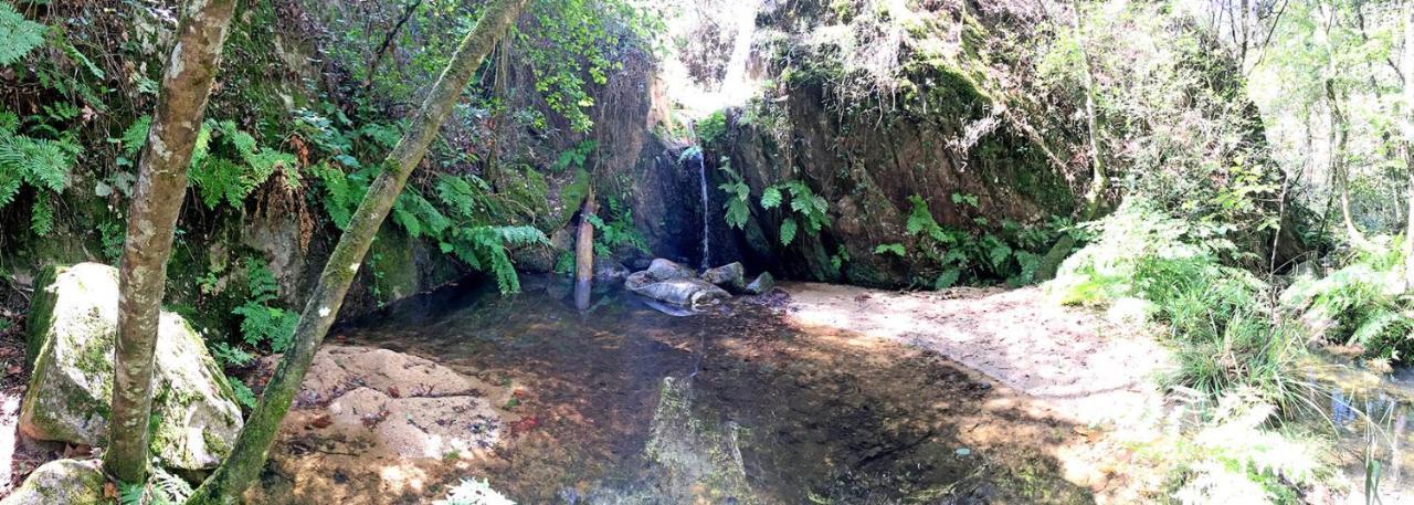 Casa Rural Can Miquel - En Pleno Bosque Y Cerca De La Playa - Increibles Rutas Btt Santa Coloma De Farners Εξωτερικό φωτογραφία