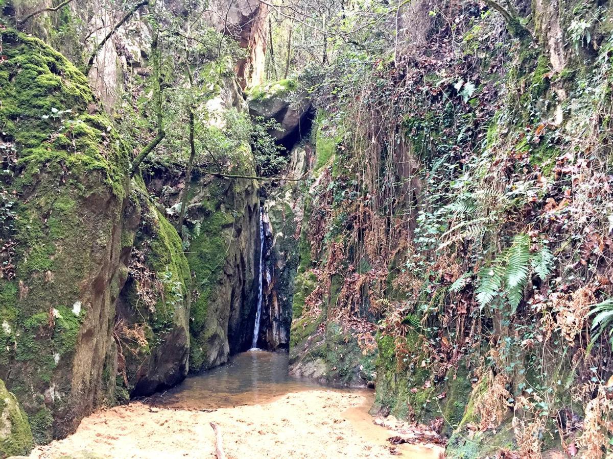Casa Rural Can Miquel - En Pleno Bosque Y Cerca De La Playa - Increibles Rutas Btt Santa Coloma De Farners Εξωτερικό φωτογραφία